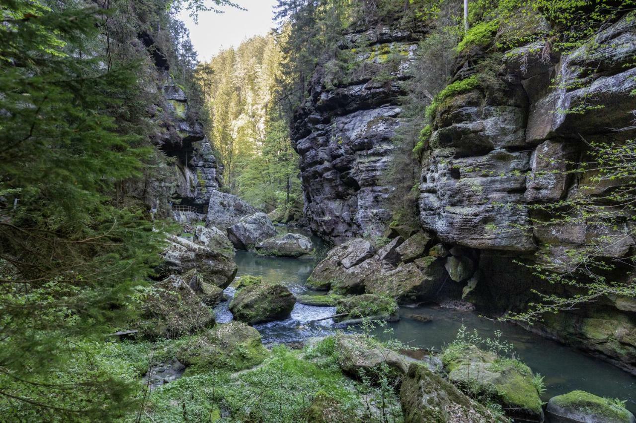 Ferienwohnungen Elbjuwel Rathen Bagian luar foto